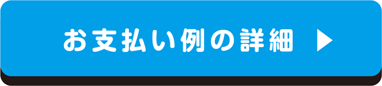 Super-ONE 支払い例詳細