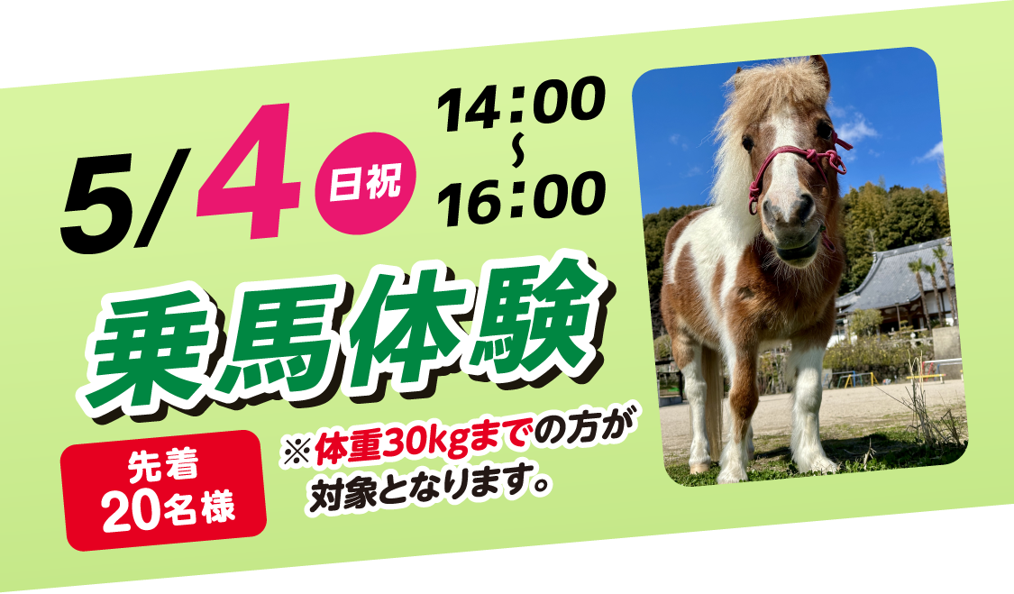 乗馬体験