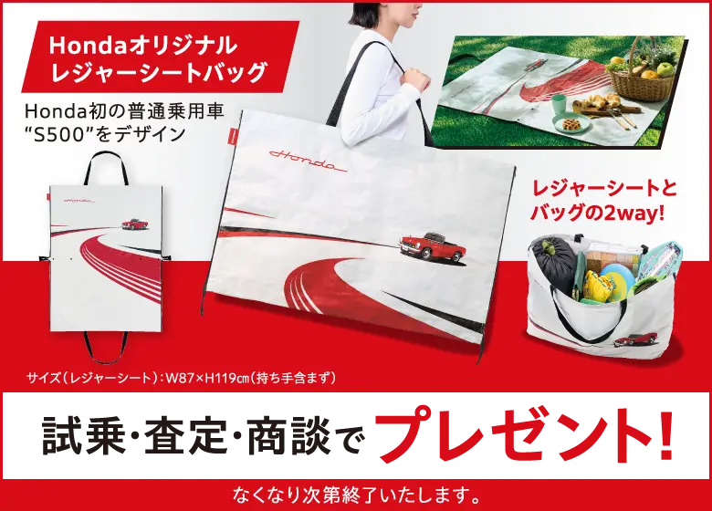 ホンダオリジナルレジャーシートバッグ
