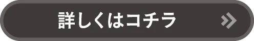 CAR PLAT 大垣