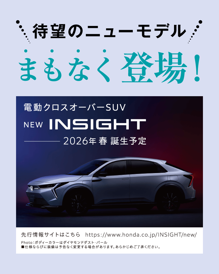 インサイトティザー